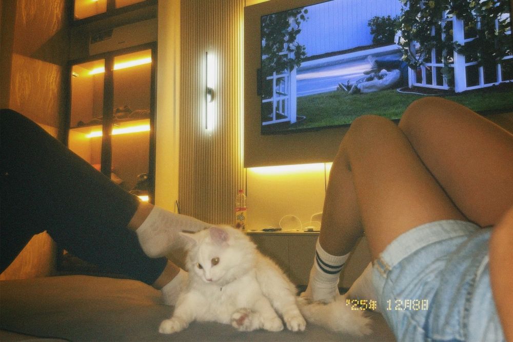 Отдам в хорошие руки