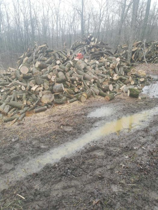 Lemne de foc - esență tare