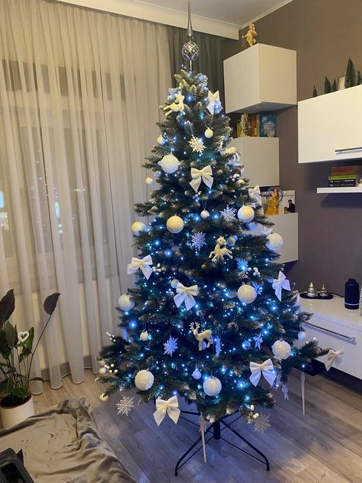 Brad de Crăciun toată zona cluj