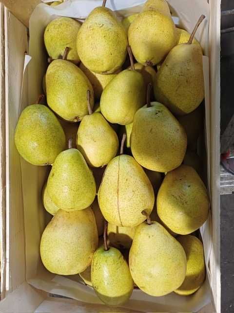 Pere frumoase și proaspete, diferite ambalaje și soiuri!