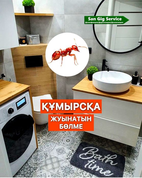 Құмырсқаны жою құмырсқаға дезинфекция Семей қаласы Абай облысы