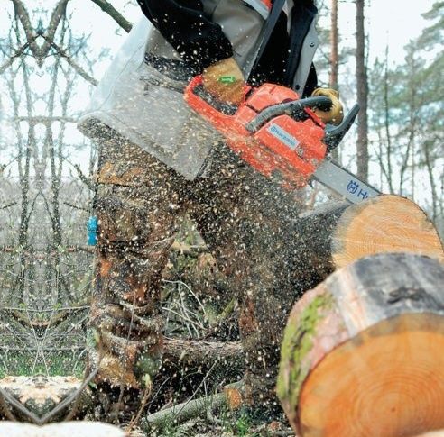 Спил Обрезка Вывоз деревьев