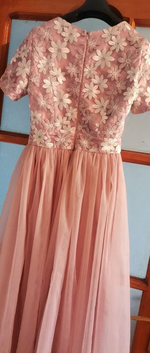 Rochita de nasa lunga.