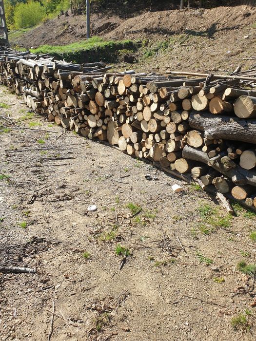 Lemne de foc (Carpen)