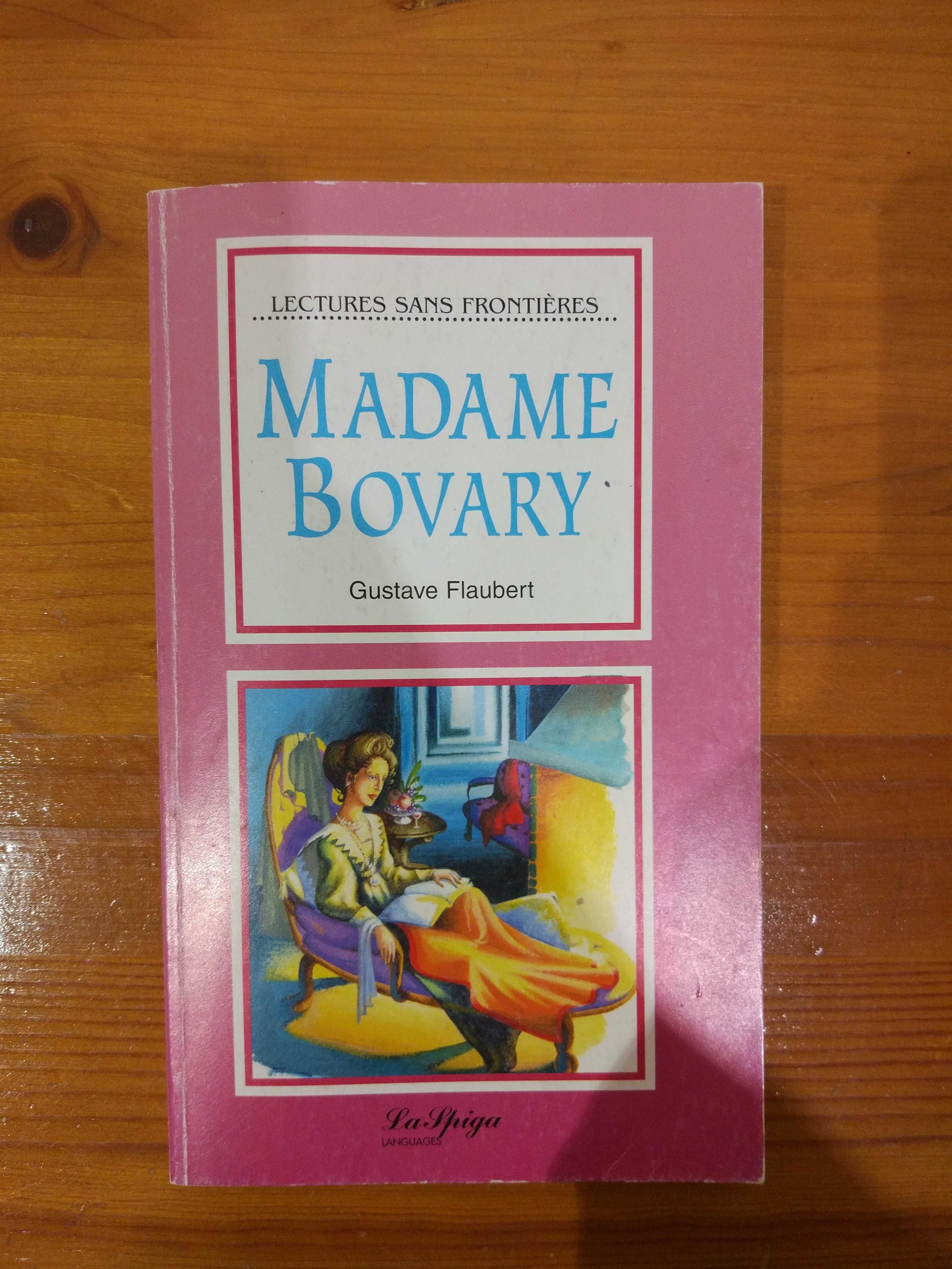 Книги-"Зло под слънцето","Faking it","Madame Bovary",2 сета книги