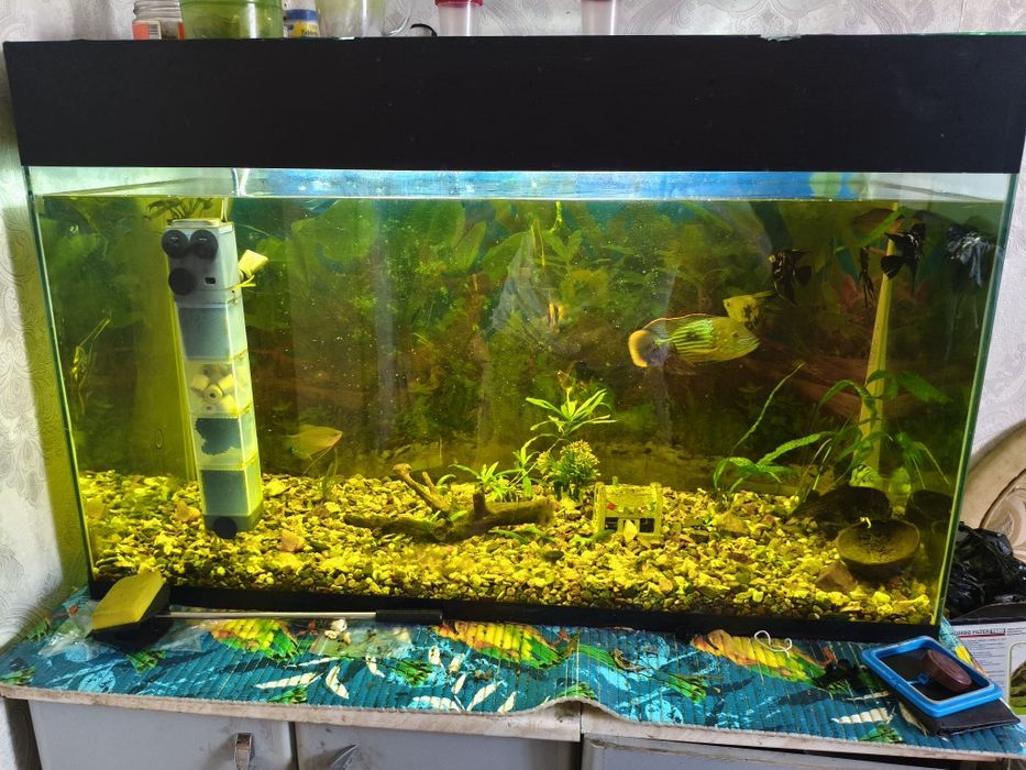 Продаю Аквариум на 230л