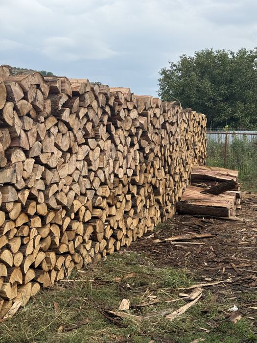 ‼️Comercializăm lemne de foc esențe tarii [Fag,Gorun,Carpen,Cer]