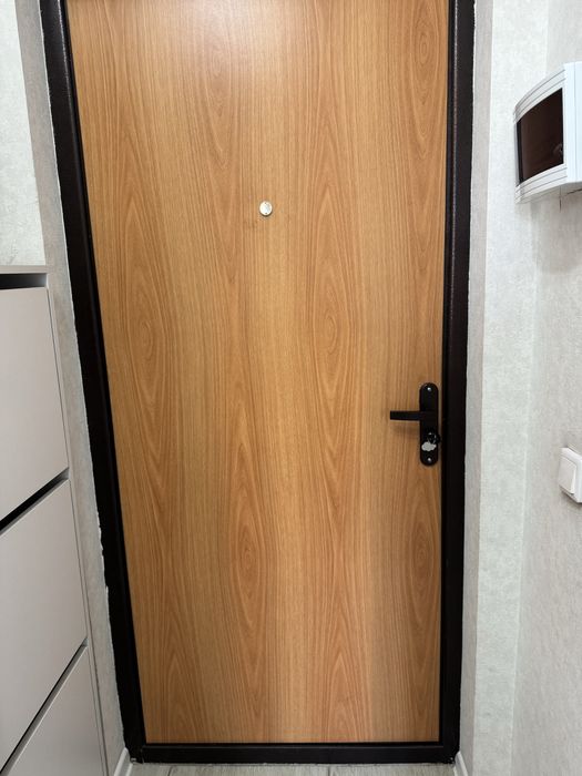 Выходная дверь/ сыртқы есік