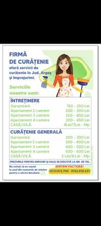 Curetenie generala,case,apartamente,spatii