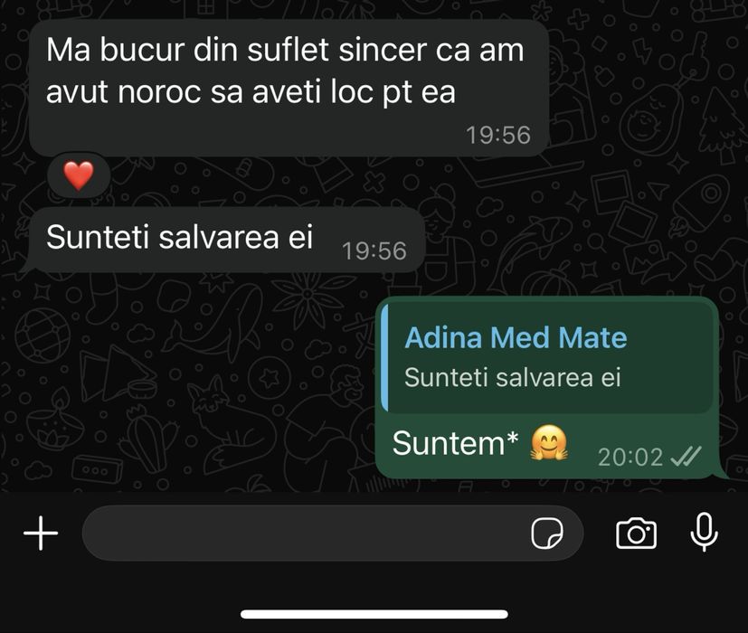 Meditatii Matematica Evaluare Nationala Recuperarea materiei