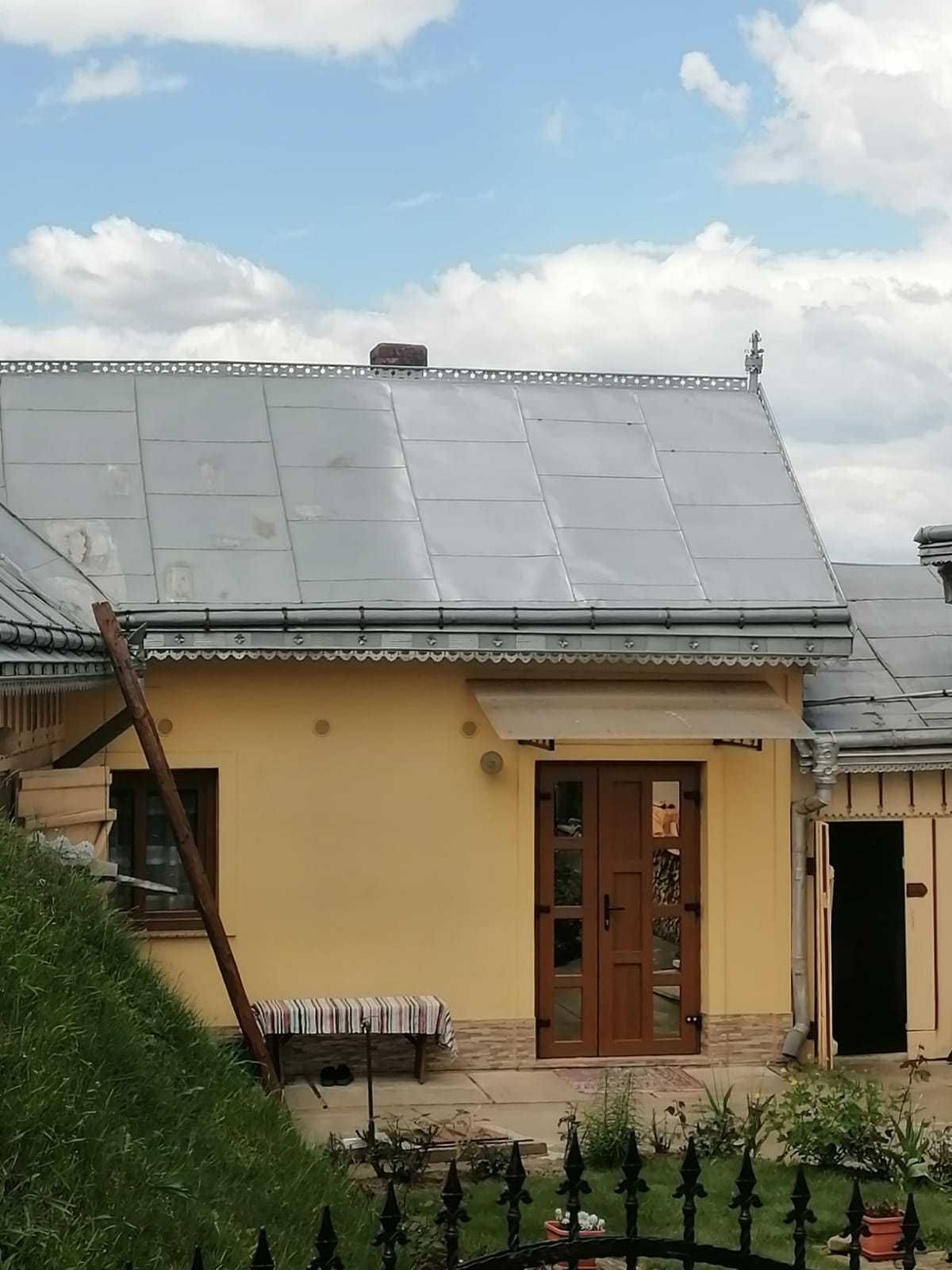 Vopsim orice tip de tabla pe casa, garduri, porti si alte suprafete