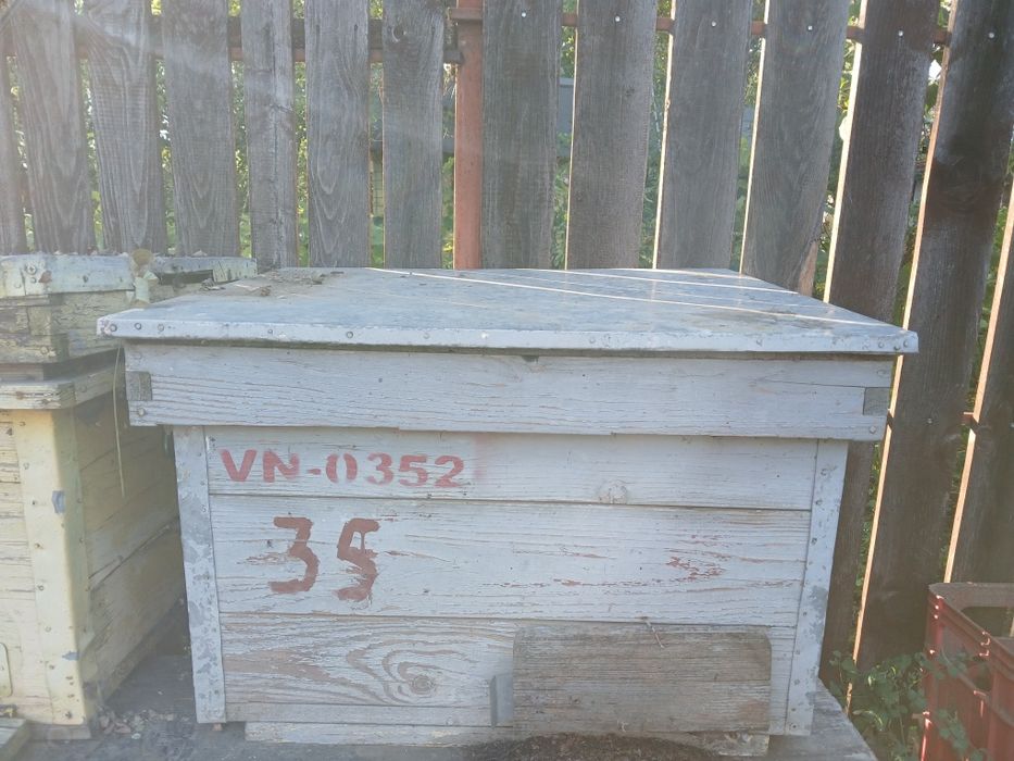 Stupi albine stare buna