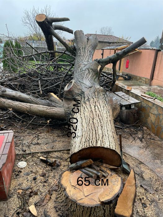 Дървен материал от ОРЕХ