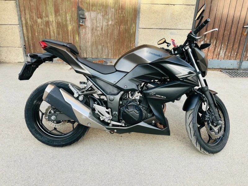 Kawasaki Z300 ABS