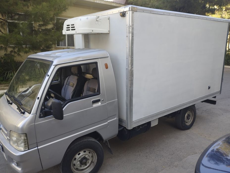 Foton Xier labodan kotta xaladelniy