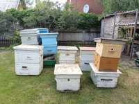 Ульи  , рамки , сушь и  прочий пчеловодческий инвентарь