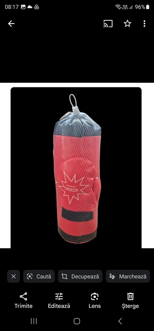 Sac de box pentru copii, cu manusi incluse, model Red Boxing