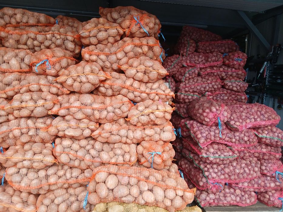 Cartofi de animale si de consum