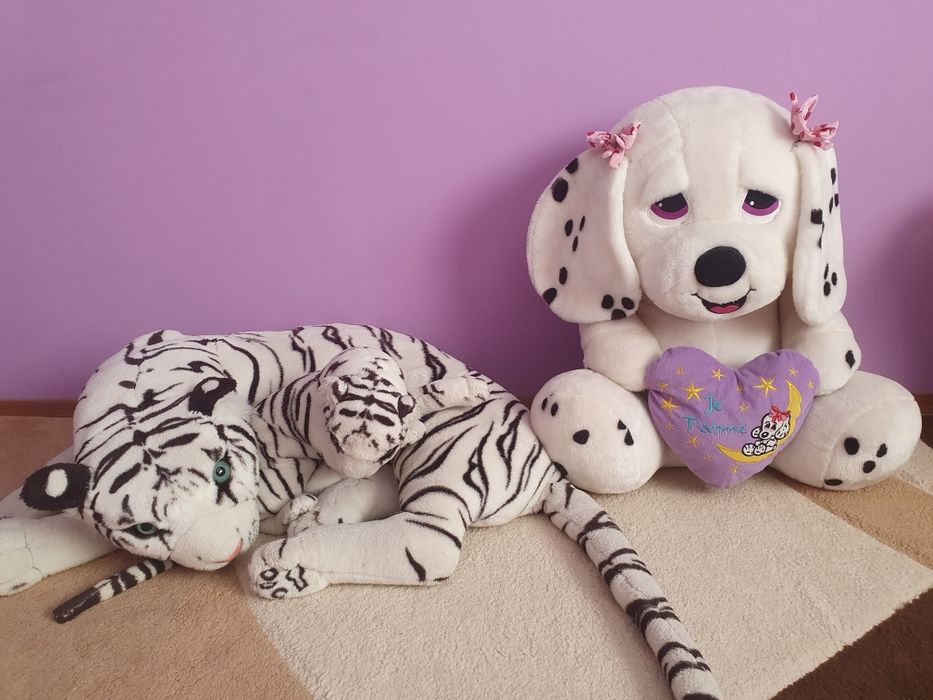 Plusuri mari 100 lei