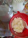 Ciuperca Tibetana Kefir