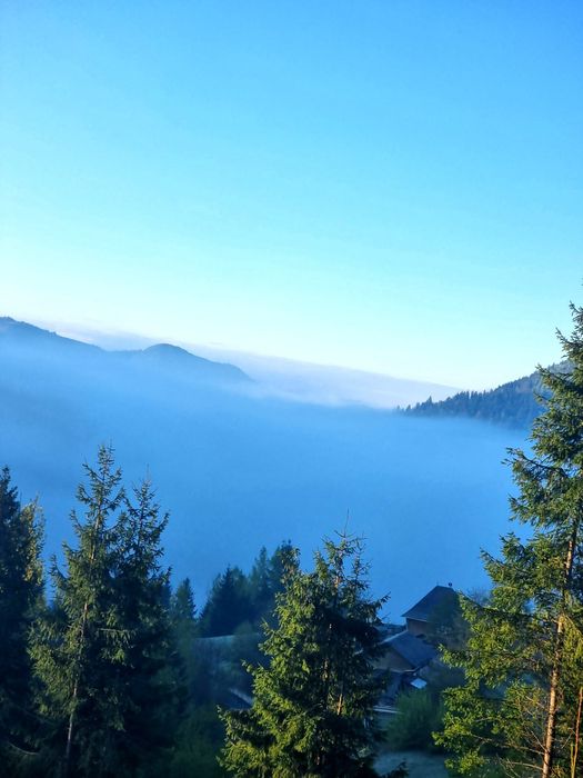 Cabana  A-frame Apuseni