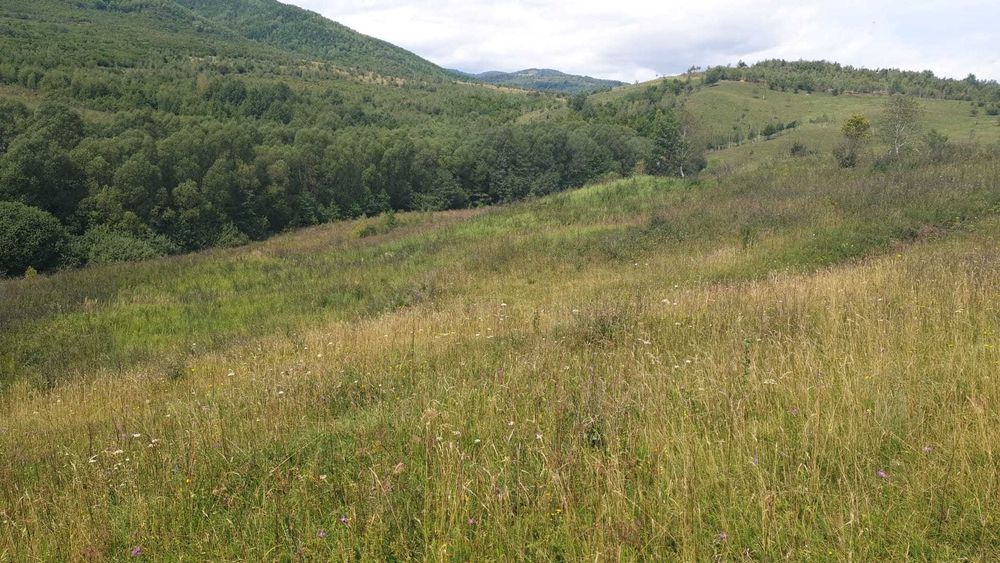 PF vand teren SALICEA, IARA extravilan,parcele de 3-500la5000mp CABANA