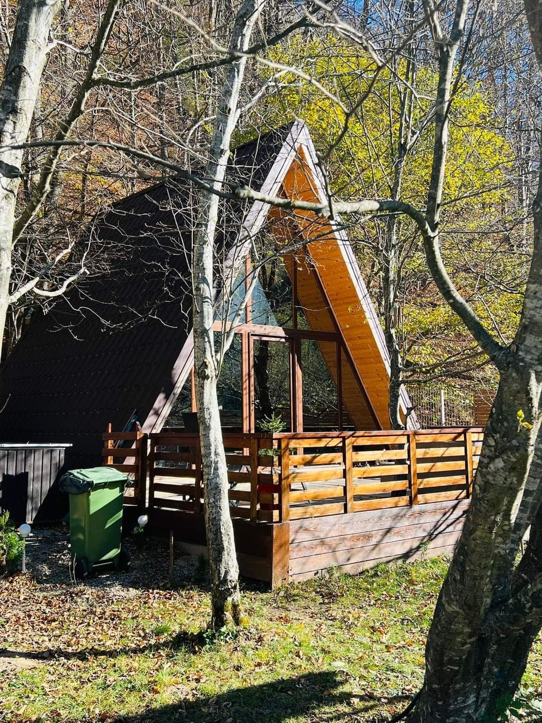 Parcul Național Piatra Craiului cabana munte cazare pensiune Zărnești