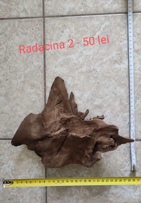 Radacina acvariu, ornament acvariu, lemn acvariu, buturuga