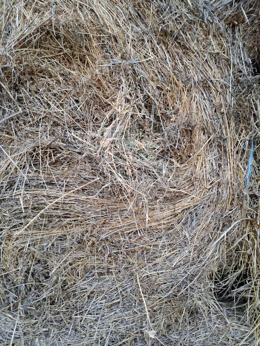 Vand baloti infoliati de lucerna și otava