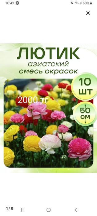 Продам семена и луковицы цветов