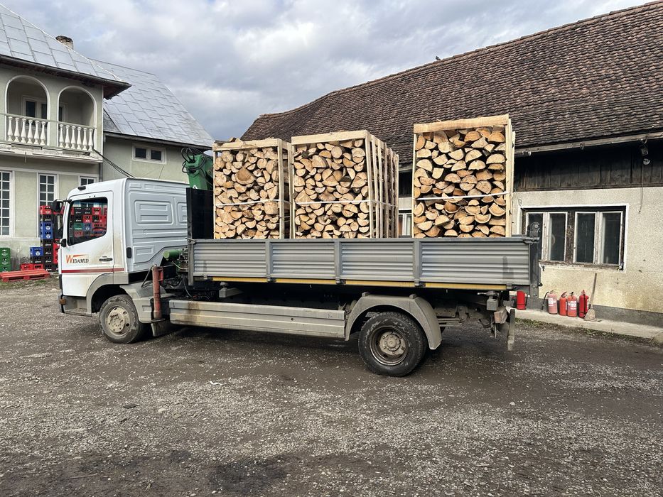 Lemn foc Fag paletat dimensionat