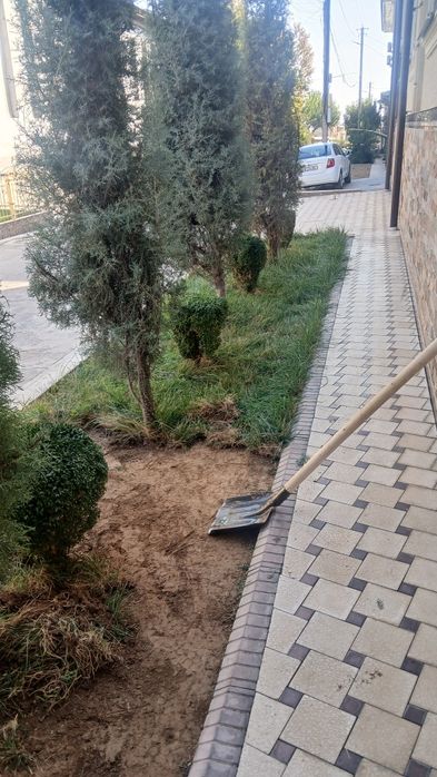 Archalarni kesamiz