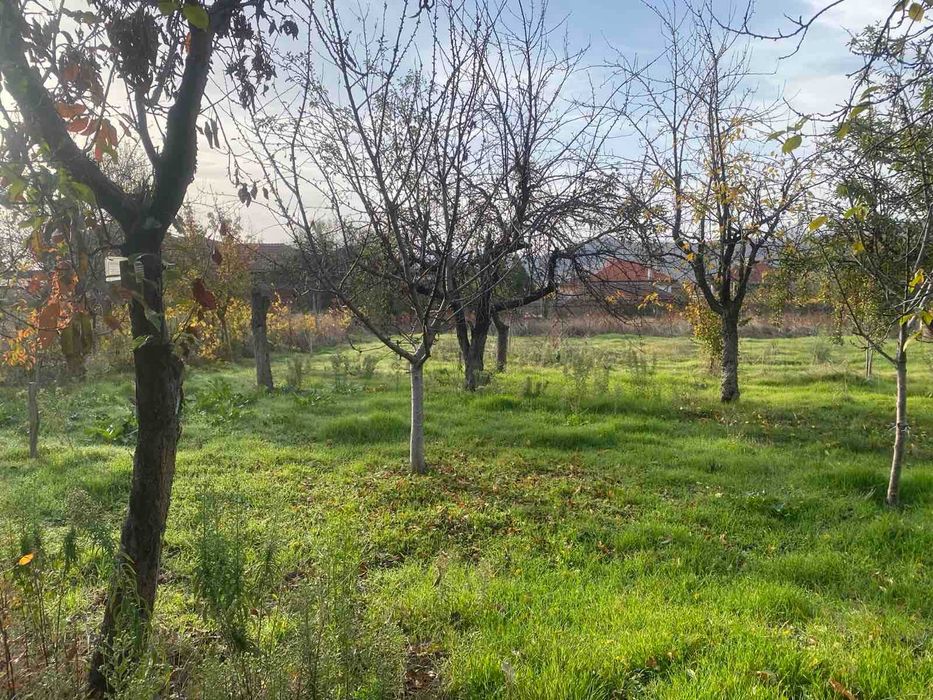 КЪЩА с РЗП 70 кв.м., двор 1300 кв.м., село Столетово