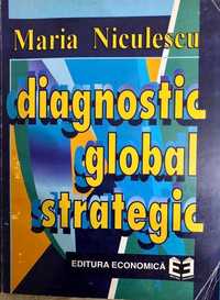 Diagnostic global strategic - Maria Niculescu