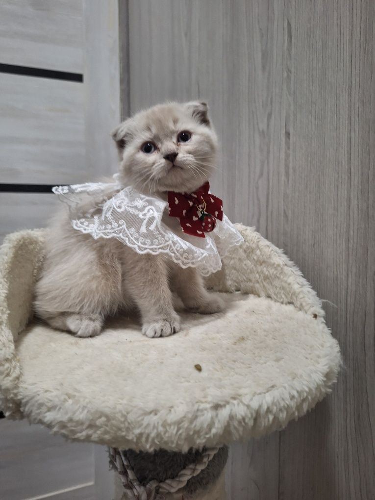 Чудо малышка с особенным характером