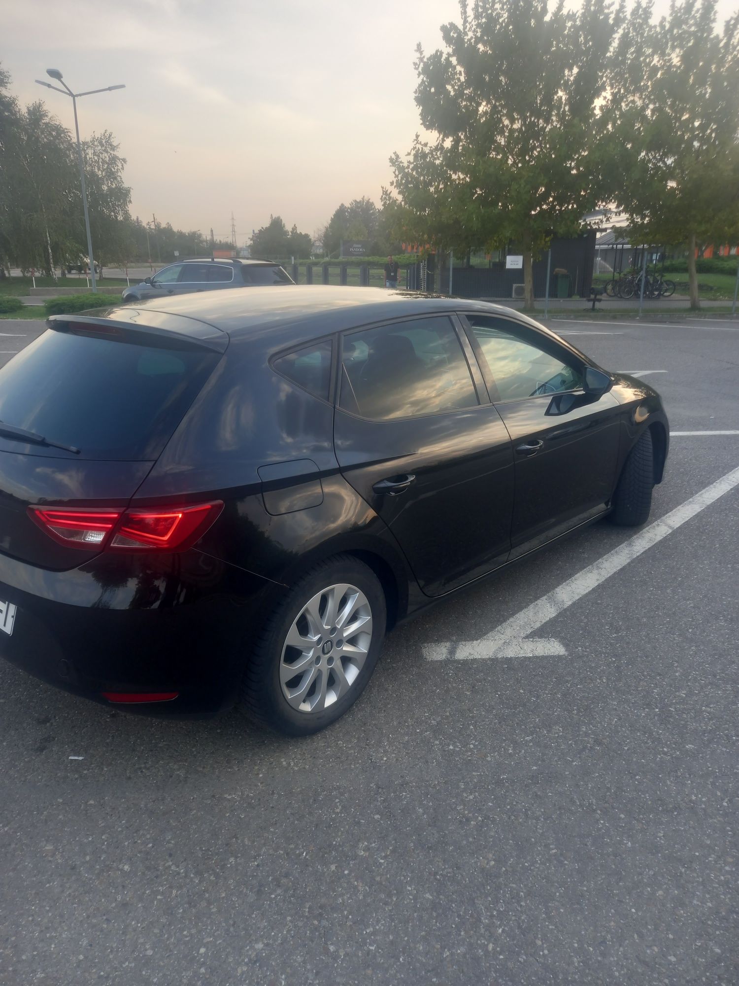 Seat Leon 3 1.6 105 cp An 2014 luna 12
