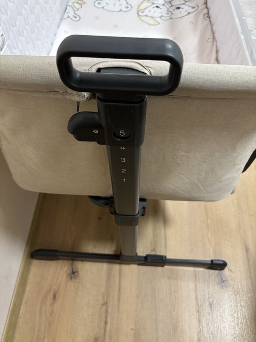 Кошара chipolino next to me