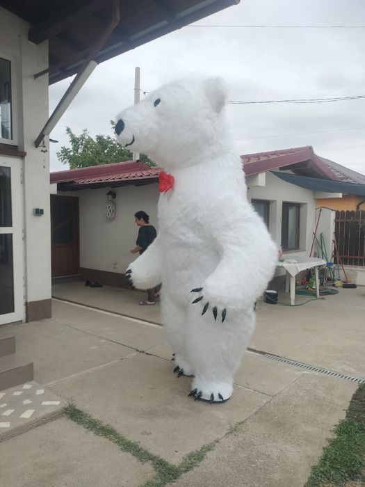 Urs gigant ,2,5 metri