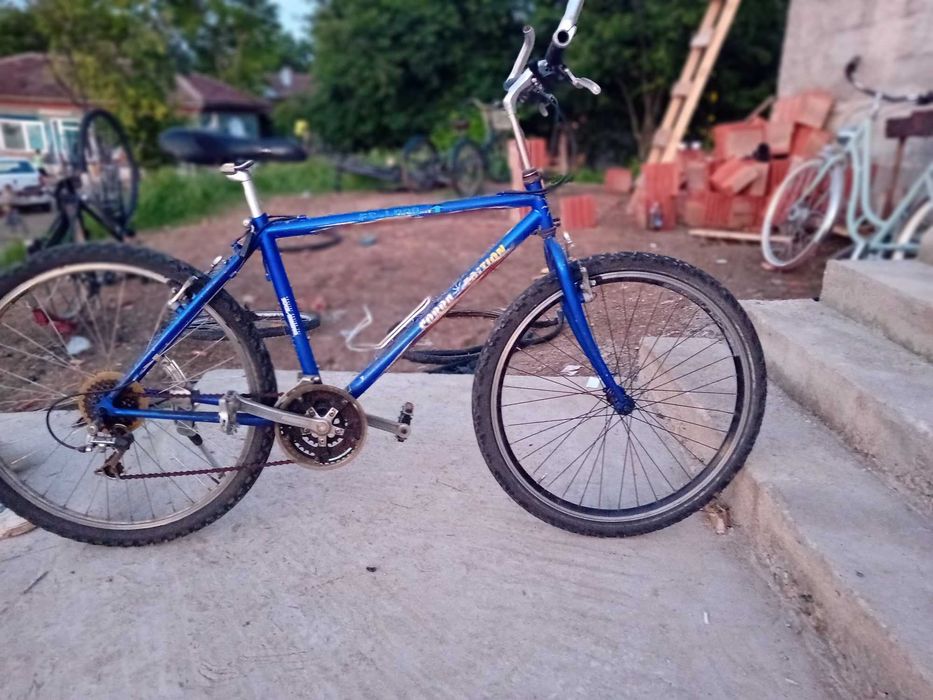 Biciclete de vanzare