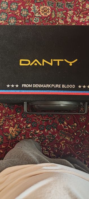 Сабвуфер DANTY хорошй