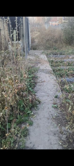 Нужно очистить участок от травы сухой