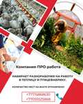 Бесплатно отдам даром