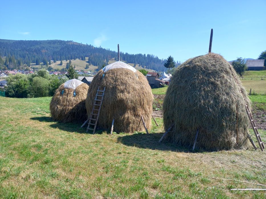 Vând 2 clăi de otavă