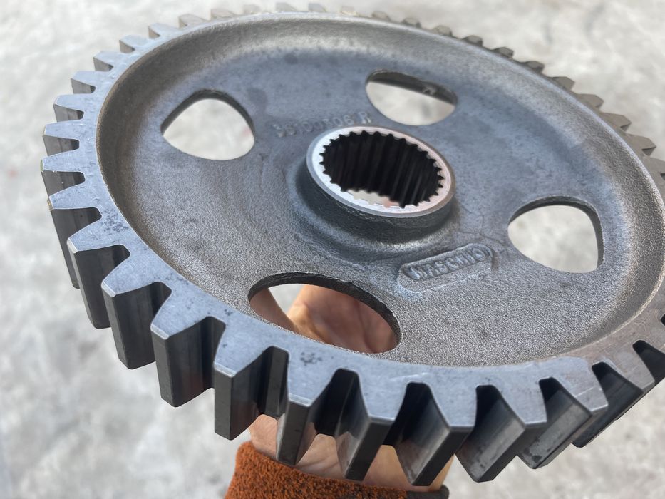 Pinion maschio dm 36100306 R