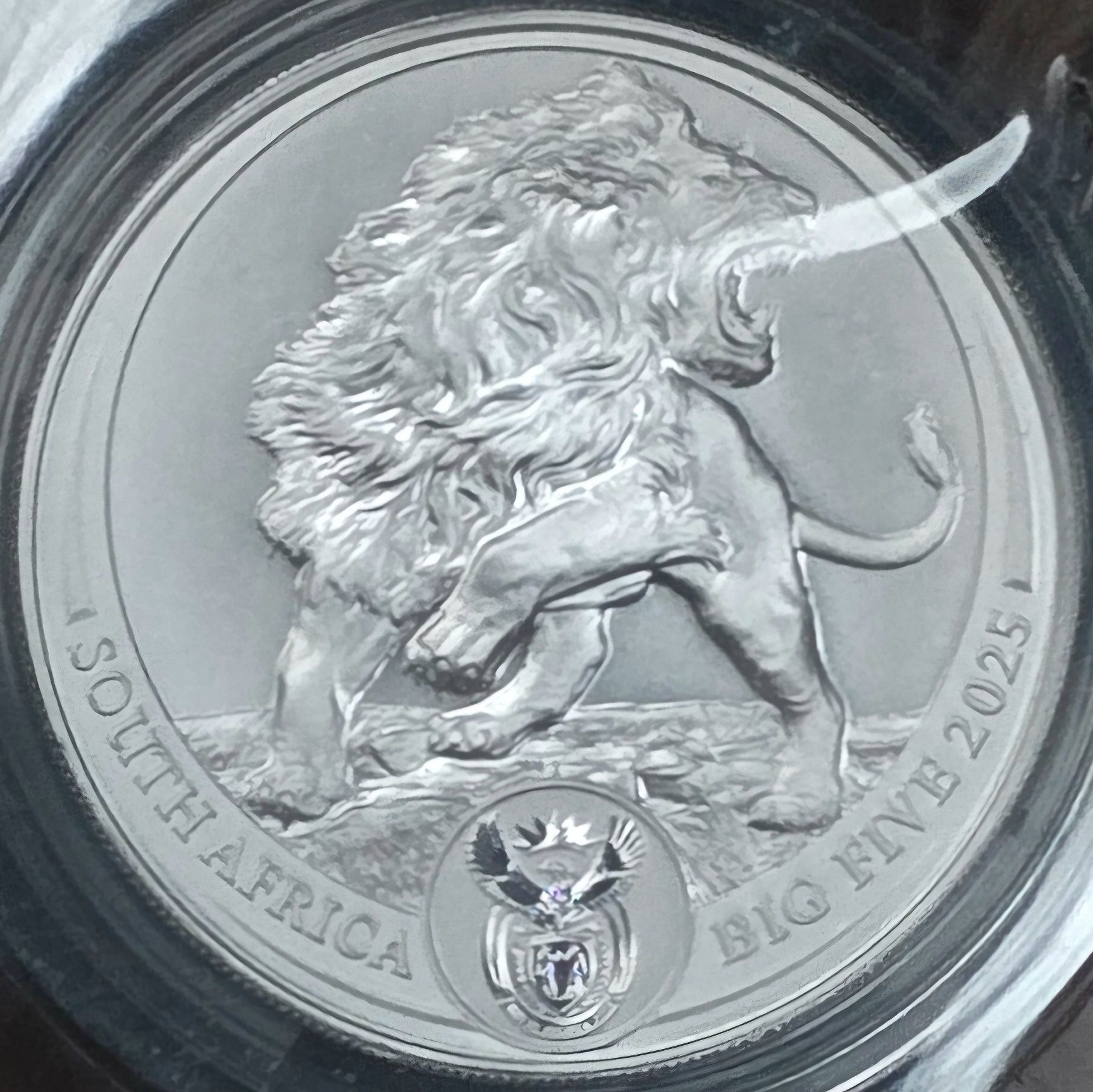 Africa de Sud Big 5 Five I, II si III monede lingou argint pur 999
