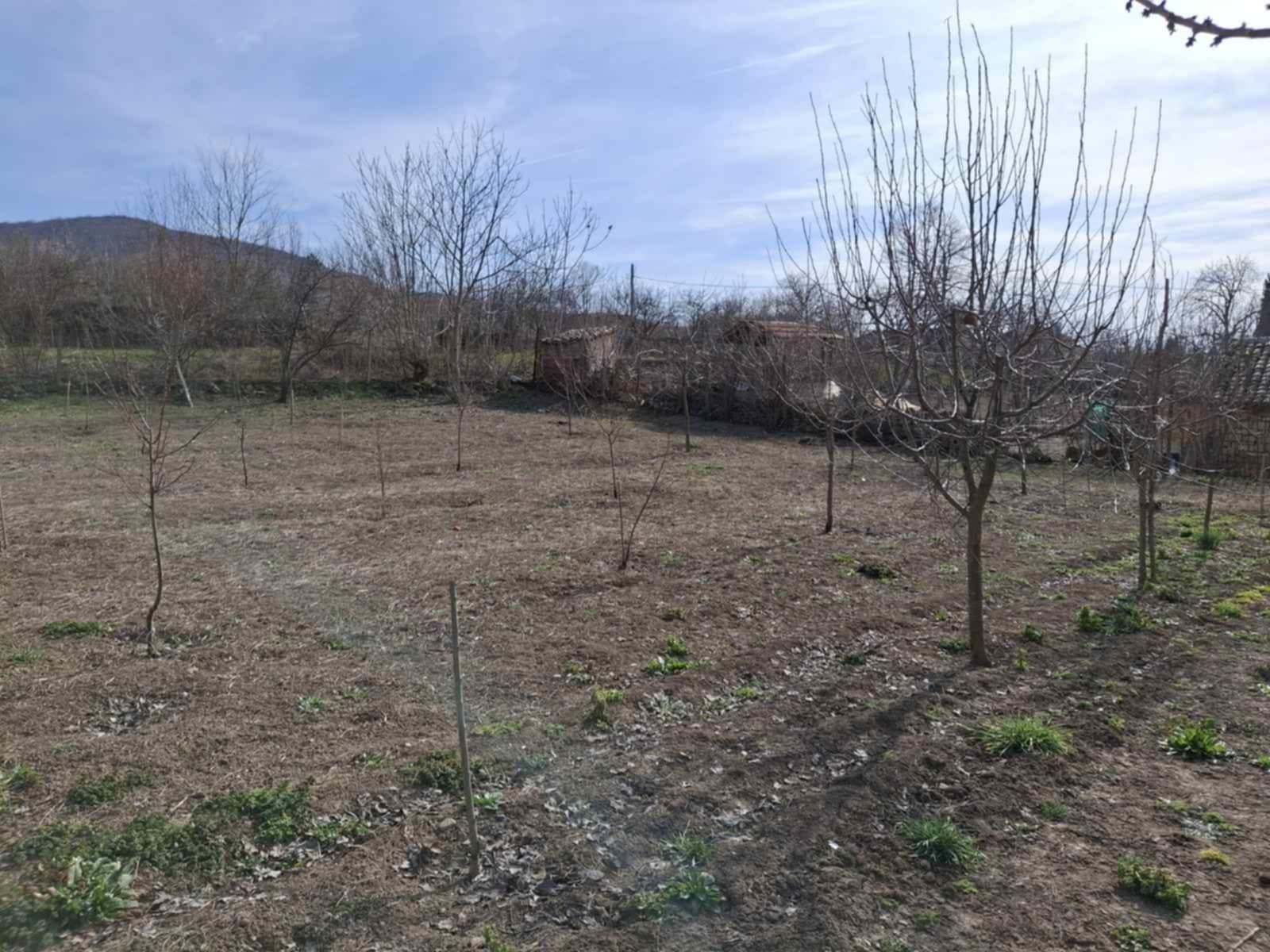 Дворно място с ПУП 705КВ