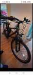 Bicicleta de barbatii