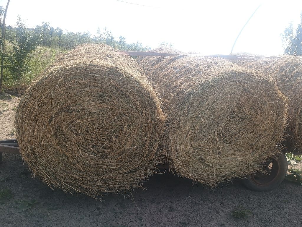 Vand baloti de fan si lucerna