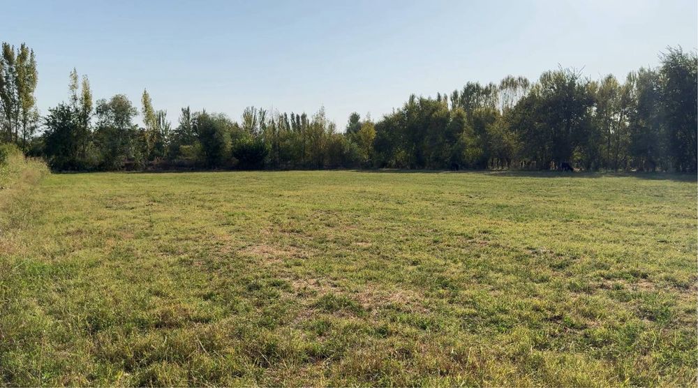 Сотилади 1,5 гектарли ховли йер