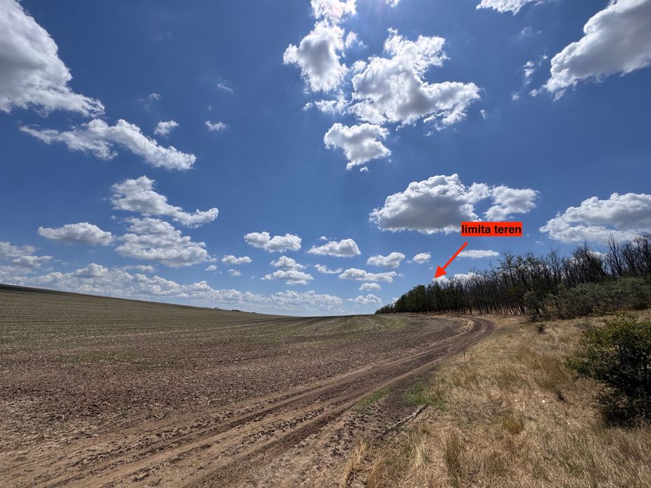 Teren agricol de vanzare 32100 mp2 Foltesti, jud. Galati